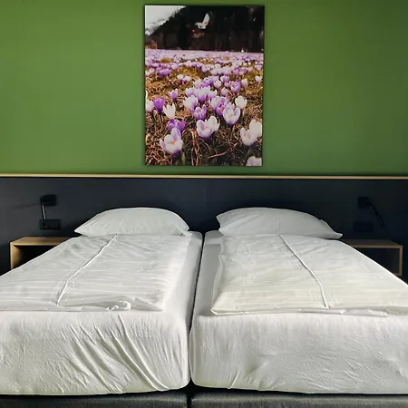 Hotel Simader 3*